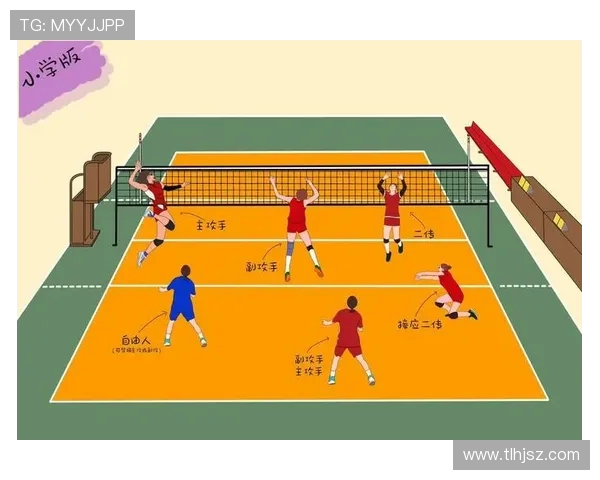 北京排球队进攻策略深度解析与战术创新探讨