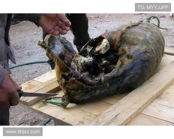 吴军回顾DOTA2历程与个人成长的深度专访分享 吴军回顾DOTA2历程与个人成长的深度专访分享