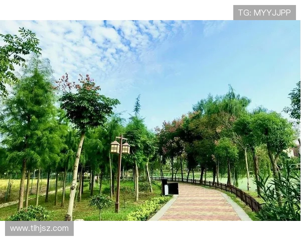 武汉网球队转型之路的真实记录与成长故事